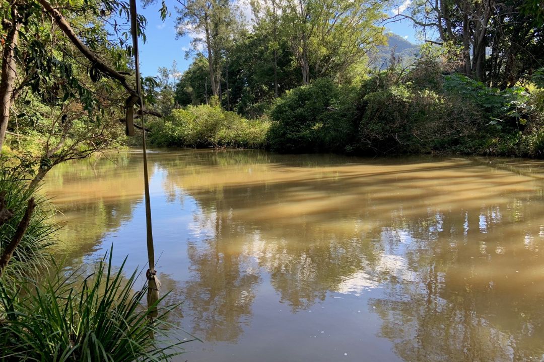 Tweed River neat Uki