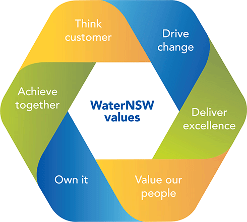 WaterNSW values