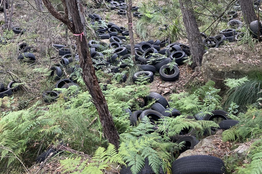 dumped tyres