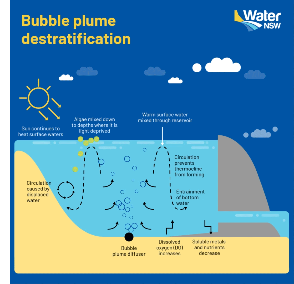 A graphic explaining the impact of a bubble plume on the layers of water in a dam.